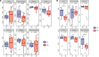 Organic Matter and Total Nitrogen Lead to Different Microbial Community Structure in Sediments Between Lagoon and Surrounding Areas by Regulating Xenococcus Abundance